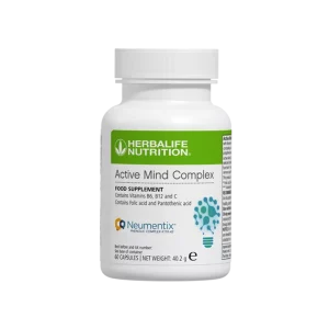 Active Mind Complex